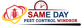 Same Daye Pest Control Winsdor